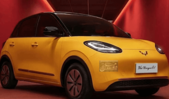پاکستان میں MG Binguo EV کی قیمت