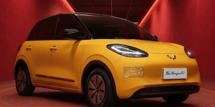 پاکستان میں MG Binguo EV کی قیمت